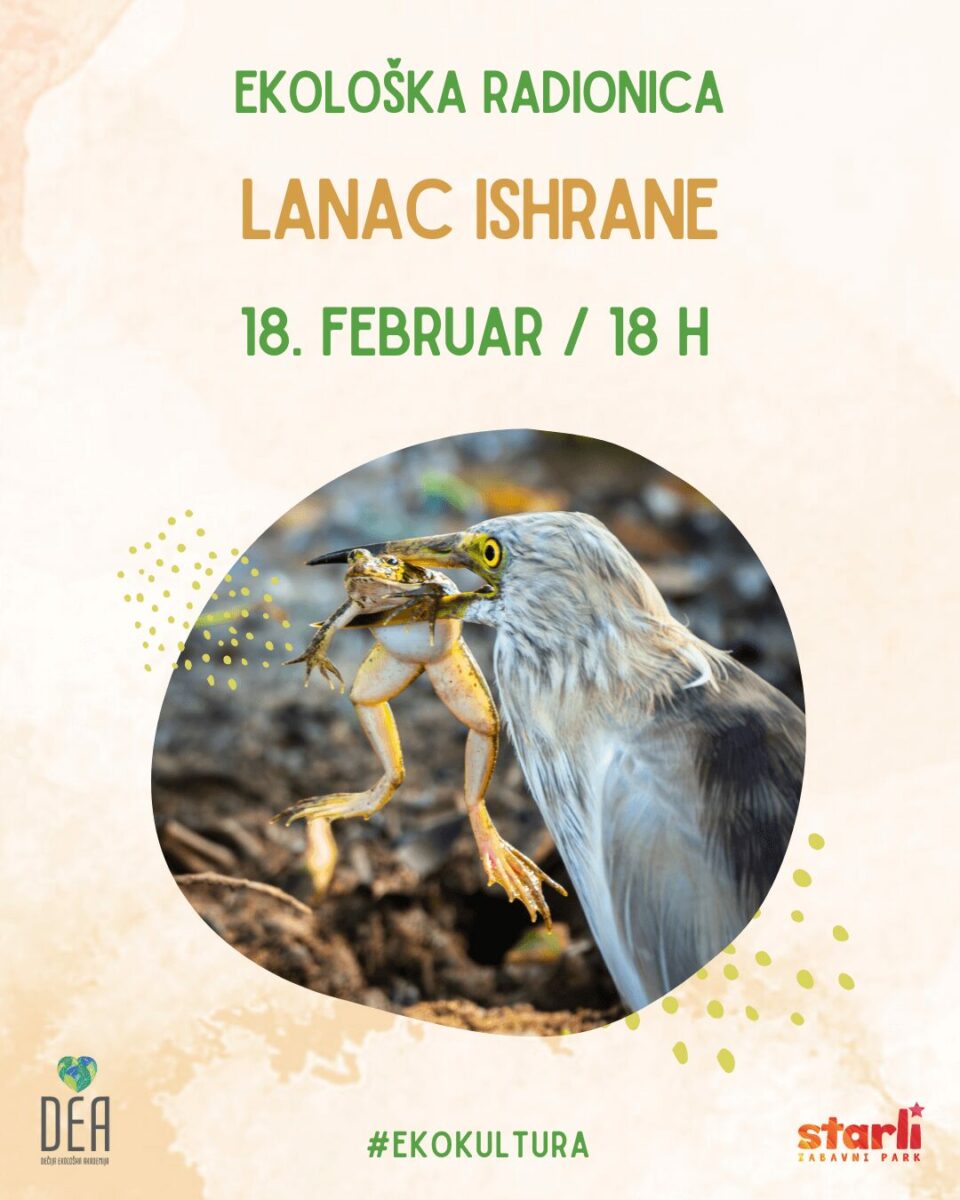 dea-lanac-ishrane-eko-radionica-feb-2025-starli eko-radionice-za-decu