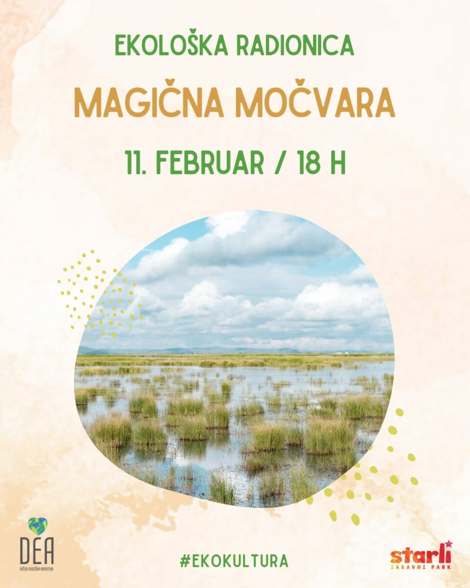 dea-magicna mocvara-eko-radionica-feb-2025-starli ekoloska-radionica-za-decu-novi-sad