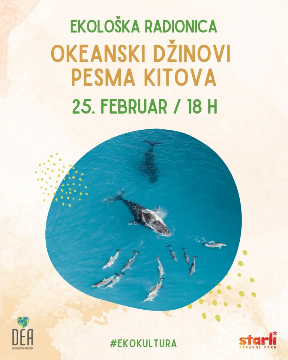 dea-okeanski-dzinovi-eko-radionica-feb-2025-starli decija-ekoloska-akademija-edukacija