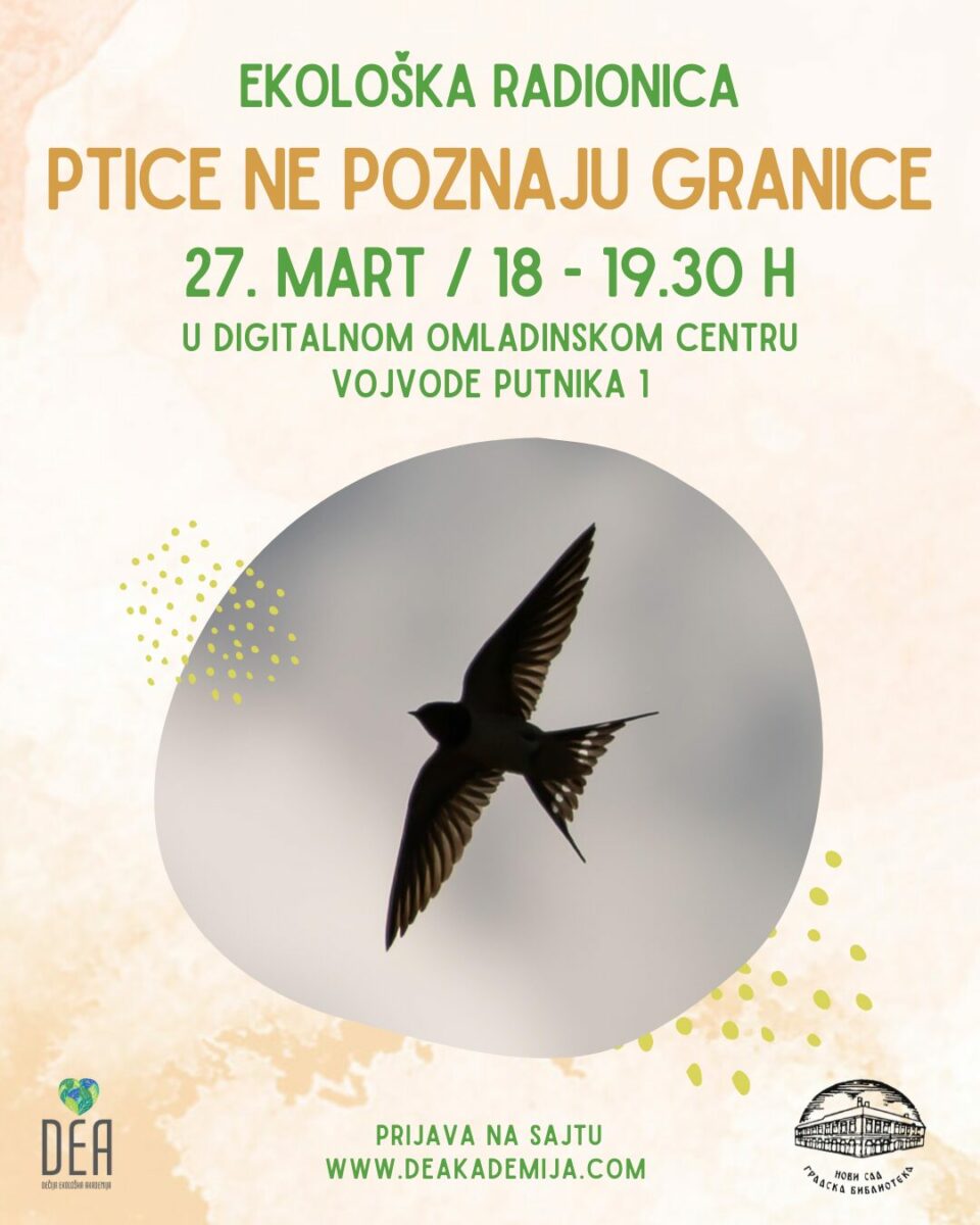 dea-ptice-eko-radionica-mart-2025-doc-gbns