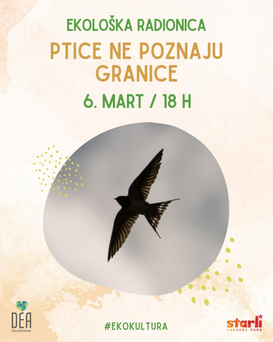 dea-ptice-ne-pozanju-granice-eko-radionica-mart-2025-starli edukacija-ptice-laste-novi-sad-dea